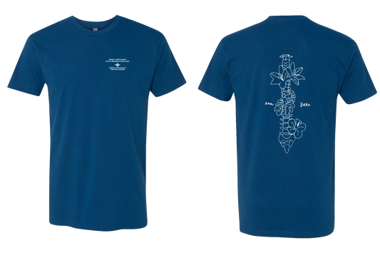 3 ARU EXCLUSIVE EDITION - NEXT LEVEL COTTON